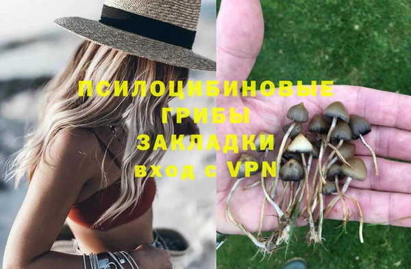 бутират Мегион