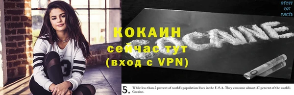 твердый Анжеро-Судженск
