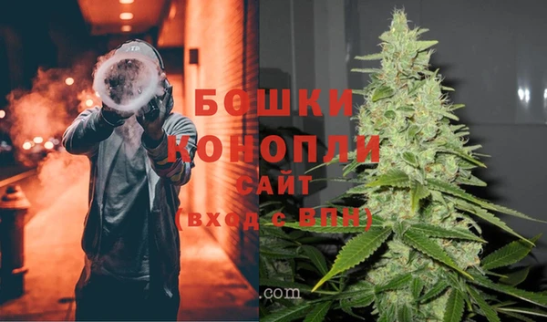 PSILOCYBIN Медвежьегорск