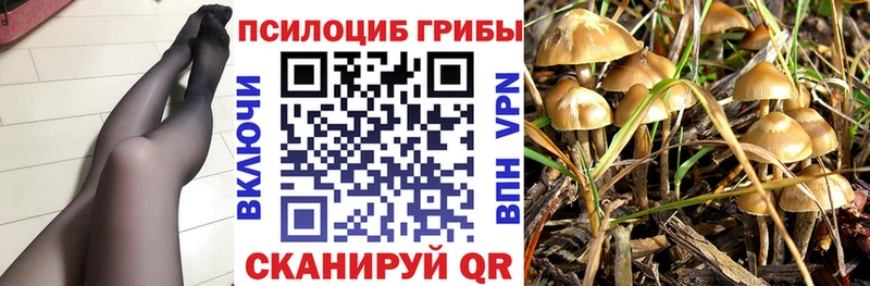 Галлюциногенные грибы прущие грибы  мега вход  Мостовской 